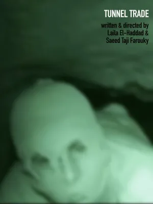 تبادل تونل