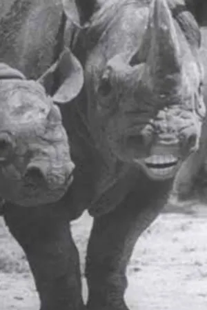 Watch and download Speaking of Animals: In a Musical Way online (1945)