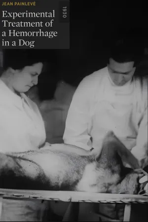 Watch and download Experimental Treatment of a Hemorrhage in a Dog online (1930)