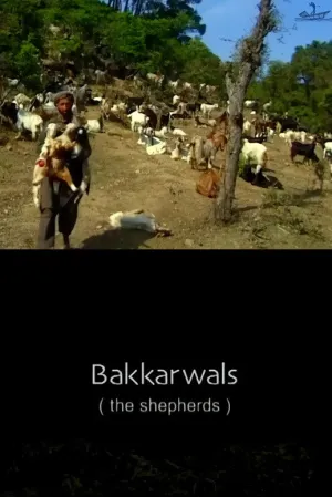چوپان ها