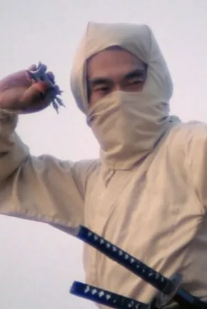 Re-Enter the 'New York Ninja'