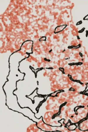 توافقنامه