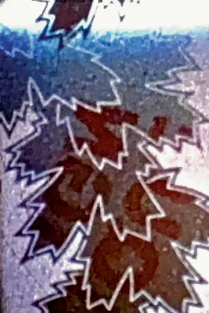 مناقصه