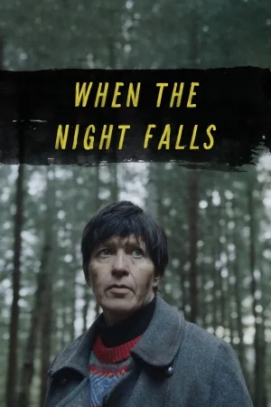 Watch and download When the Night Falls online (2022)