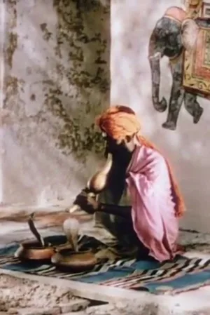 یک جاده در هند