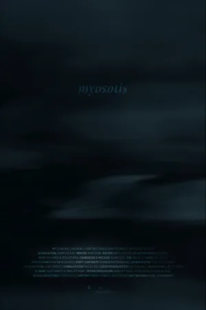 Myosotis