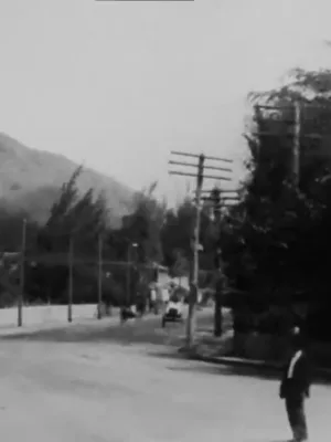 Watch and download Panoramic View, Waikiki from an Electric Car, Hawaiian Islands online (1906)