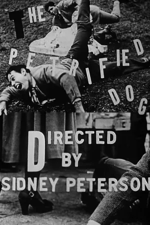 Watch and download The Petrified Dog online (1949)