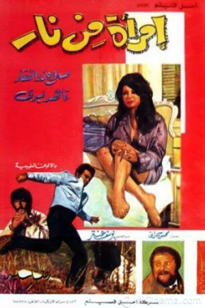 Watch and download A Woman of Fire online (1971)