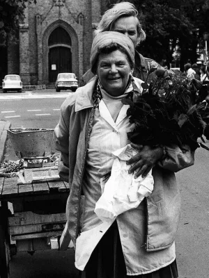 Watch and download Essay über ein Fischweib oder Min Herzing online (1975)