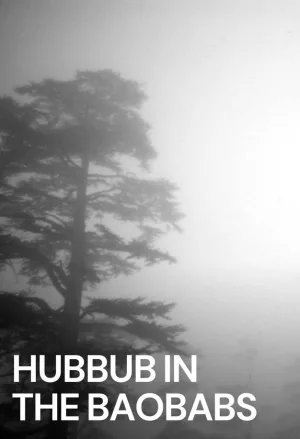 Hub-bub in the Baobabs