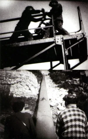 زغال سنگ سفید