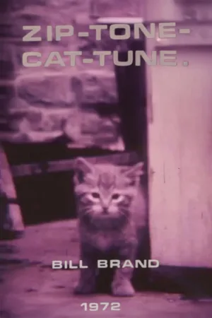 Zip-Tone-Cat-Tune
