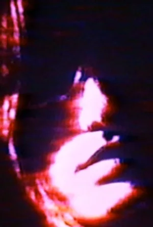قوی سفید