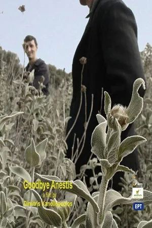 سلام آنتیستای عزیز