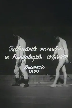 Watch and download Walking Troubles of Organic Hemiplegy online (1898)