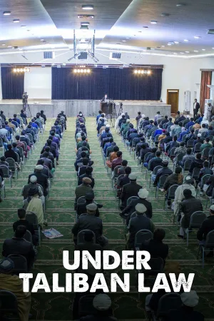 زبان قانون طالبان