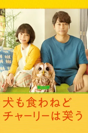 Everything Will Be Owlright!