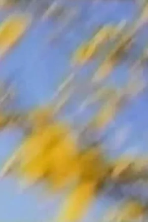 خواهم دید چگونه می نگری