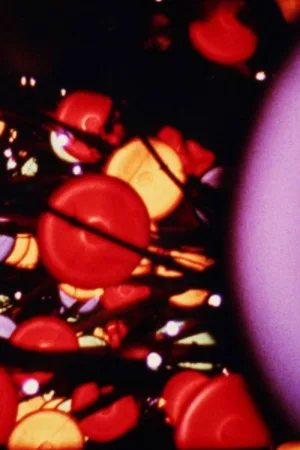 Watch and download Lights online (1966)