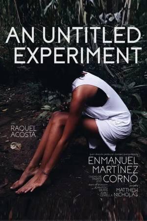 Watch and download An Untitled Experiment online (2017)