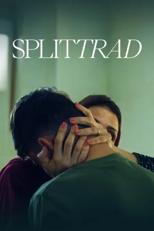Splittrad