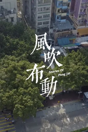 Watch and download Stories of Pang Jai online (2020)