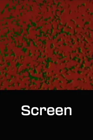 صفحه نمایش