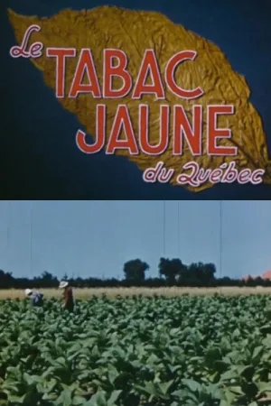 Watch and download Yellow Tobacco from Quebec online (1951)