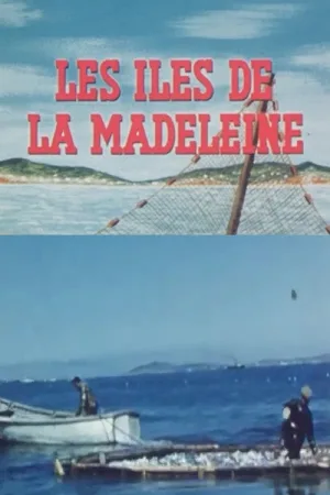 جزایر مگدالن