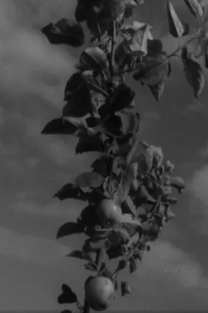 Watch and download Ruhnu online (1965)