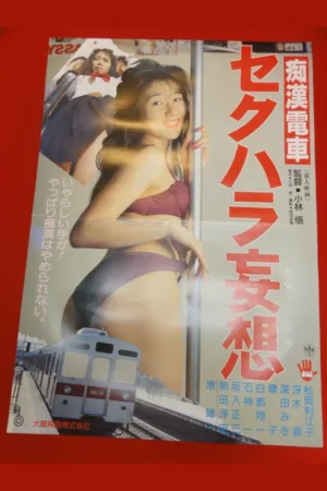 Groper Train: Sexual Harassment Fantasy