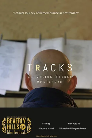 ردپای Tracks: سنگ های لغزنده آمستردام