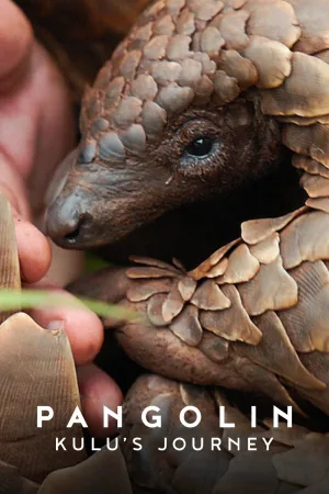 Watch and download Pangolin: Kulu's Journey online (2025)