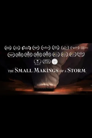 Watch and download The Small Makings of a Storm online (2024)