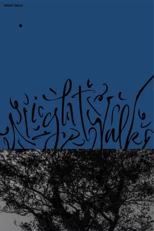 سکوت شبانه