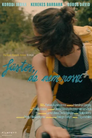 Watch and download Smoky Like the Last Day of Summer online (2023)