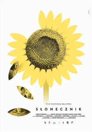 Watch and download Sunflower online (2024)
