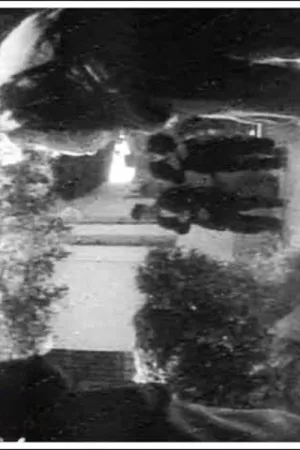 Watch and download Old Bazaar online (1955)