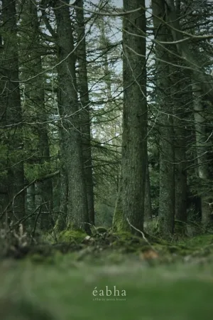 Watch and download éabha online (2023)