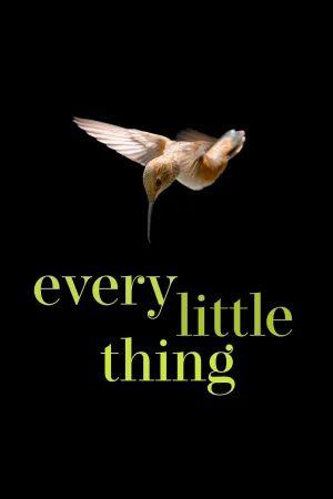 Watch and download Every Little Thing online (2025)