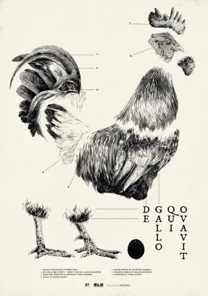 Watch and download De Gallo Qui Ovavit online (2024)