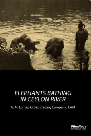 Watch and download Elephants Bathing in Ceylon River online (1904)