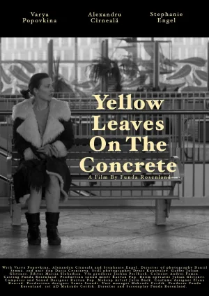 Yellow leaves on the concrete