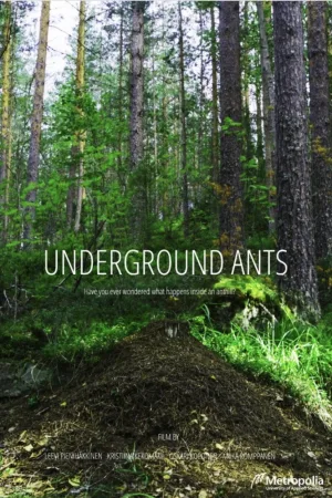 Watch and download Underground Ants online (2024)
