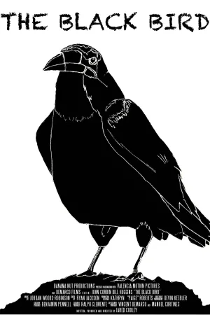 پرنده سیاه