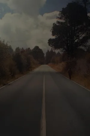اسارت‌ها