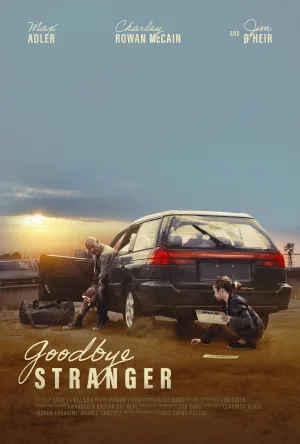 Goodbye Stranger