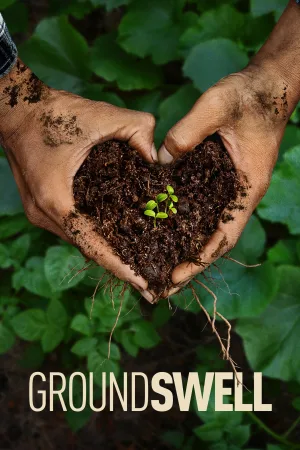 Groundswell