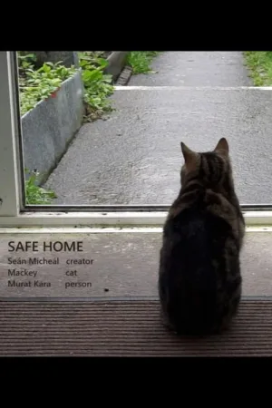 Safe Home